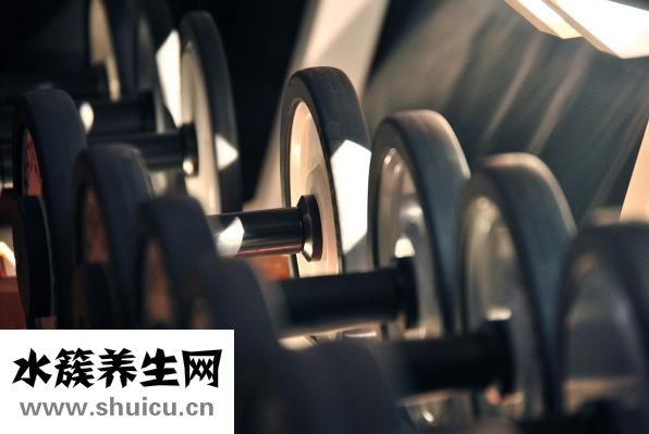 含锌高的食物有哪些
