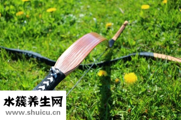 百部的功效与作用