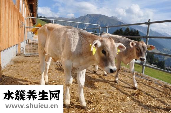 为什么背部酸痛