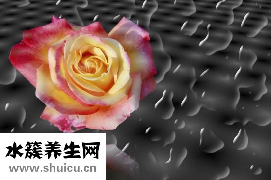 弱阳性是什么意思