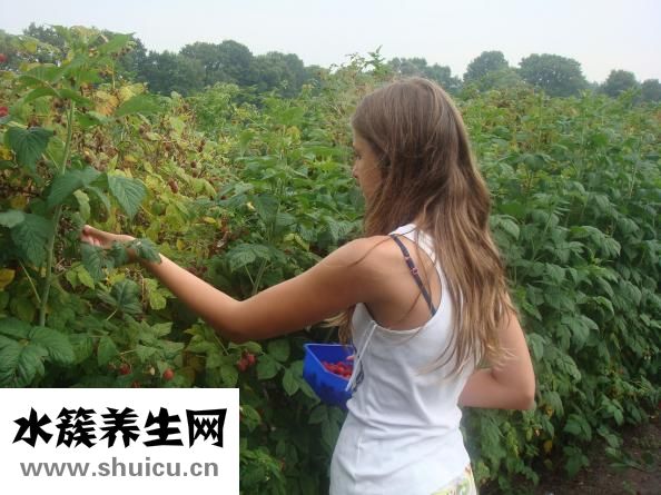 十大减肥水果排行榜