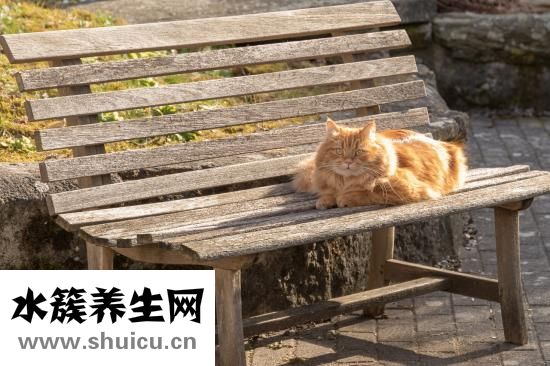 小孩咳嗽呕吐