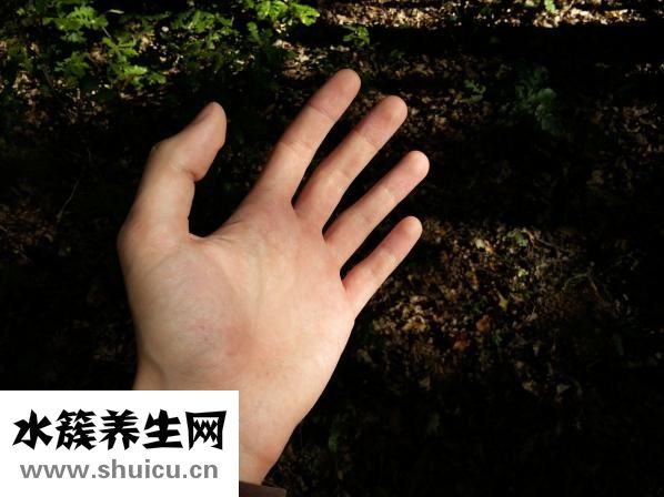 怎么样瘦胳膊