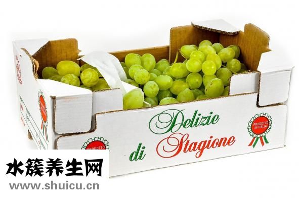 十大减肥水果排行榜