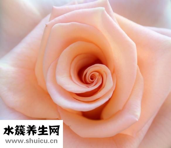 什么是间质肿瘤