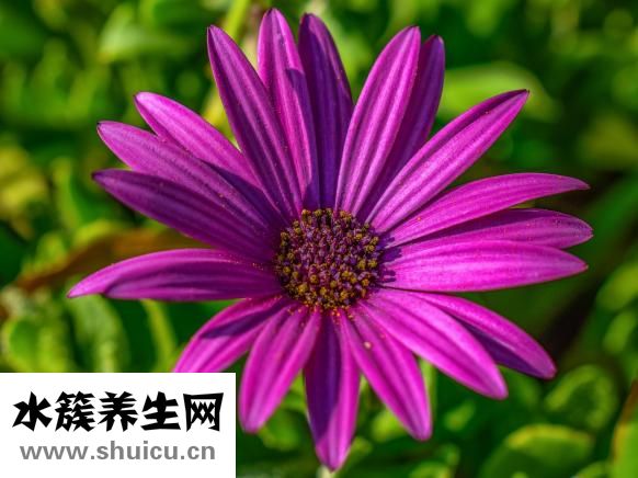 小腹两侧疼痛
