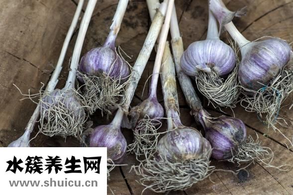 怎么调蒜汁水