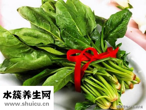 什么菜养胃
