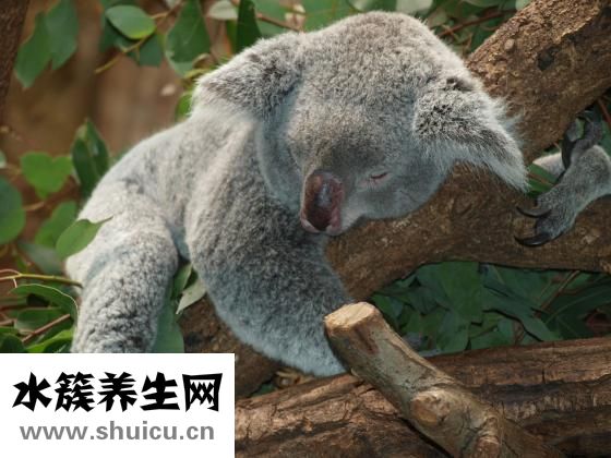 心脏突然疼