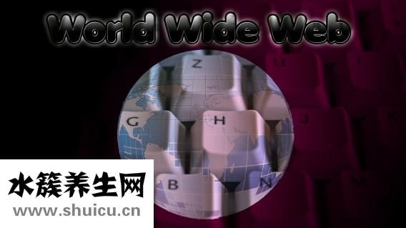 五维彩超多少钱