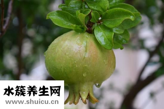 土豆的好处