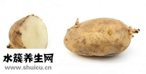 孕妇能吃葡萄吗