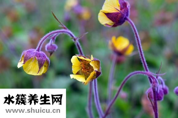 怎么查五行