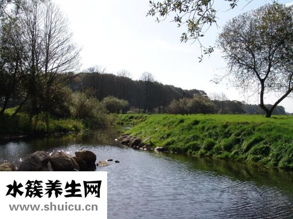 抑郁用什么药