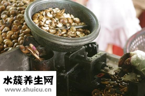 孕妇能吃茴香不