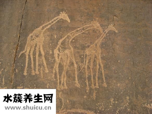 停止间转法