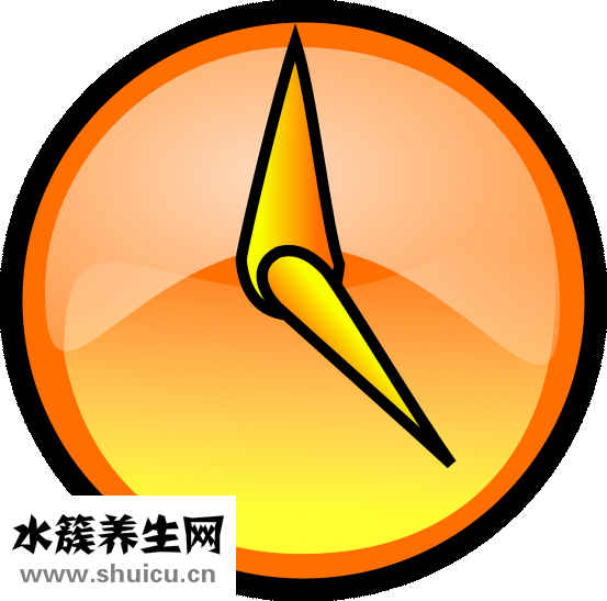 小腿腿围标准