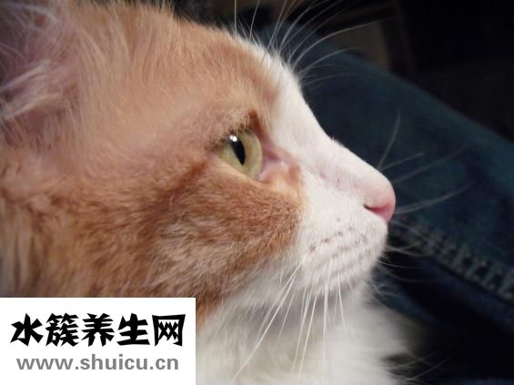 伤口不易愈合的原因