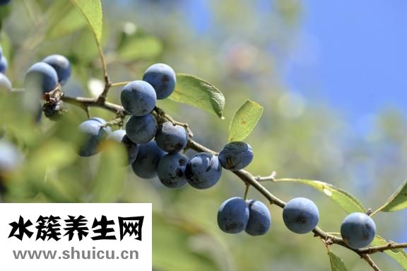 伤口愈合吃什么