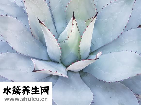 无痛人流步骤