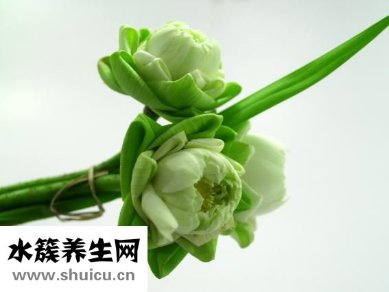 怀孕会头疼吗