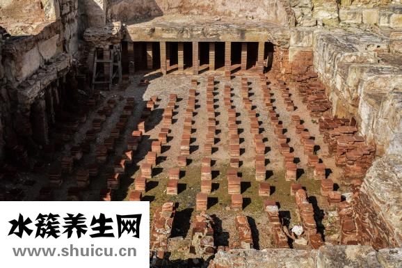 头晕用什么药好