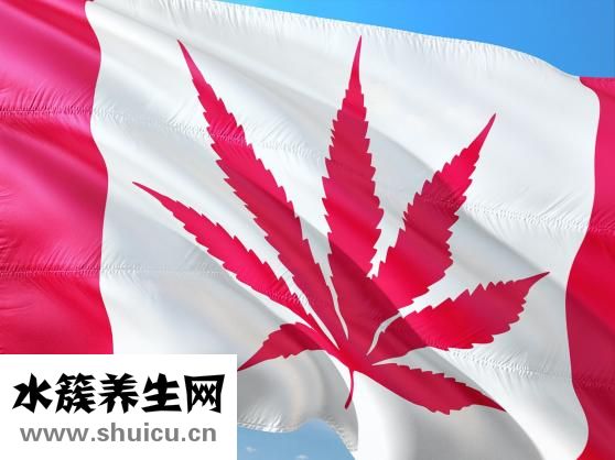 心脏不好怎么治