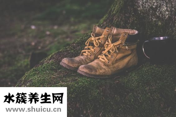 心脏血液循环路线