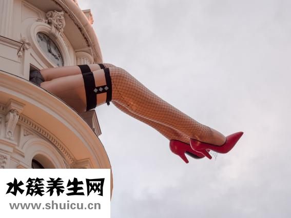 心脏血液循环路线