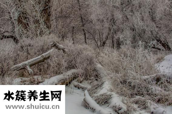 头晕用什么药好