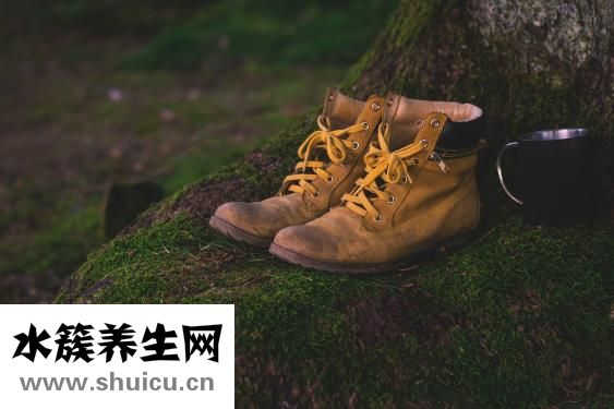 心脏血液循环路线