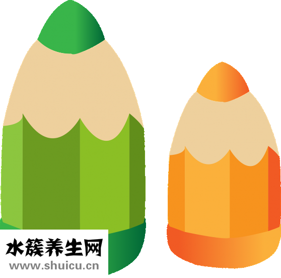 怎样有效瘦脸