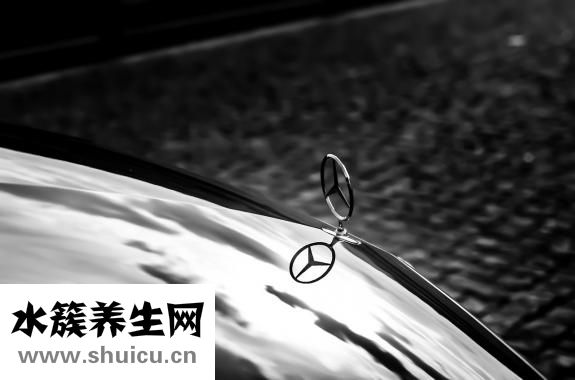 心脏血液循环路线
