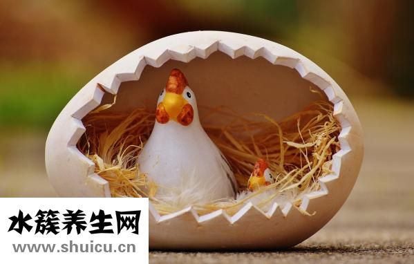 团鱼怎么做才好吃