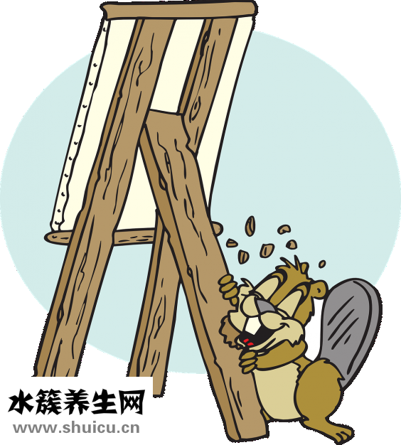 孕妇可以吃头孢吗