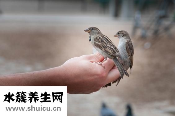 孕晚期白带多
