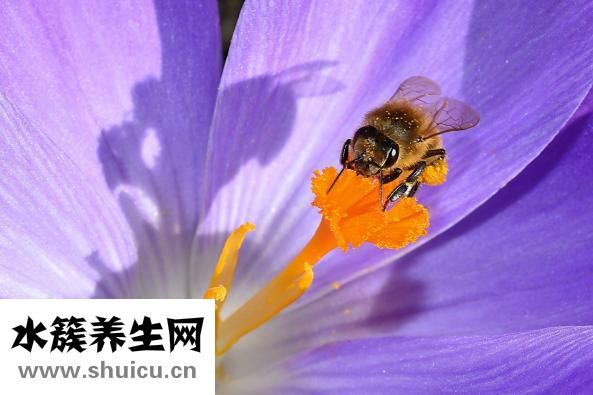 微波炉怎么做蛋糕