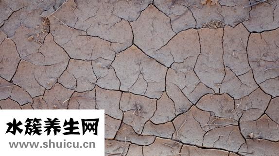 孕妇能吃蒜吗