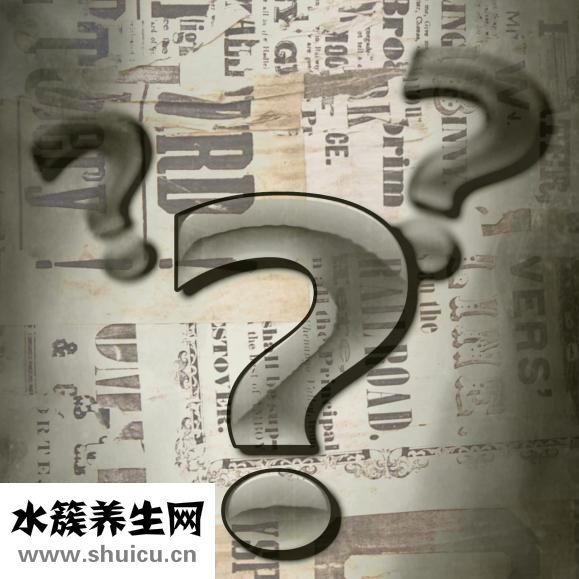 什么茶可以长期喝