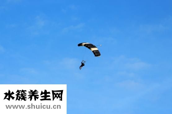 一睡觉就做梦