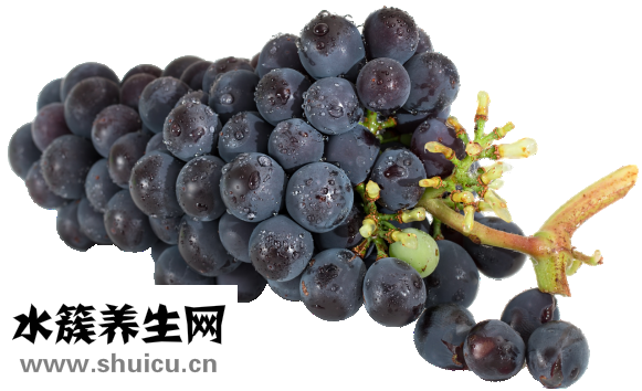 孕妇吃山药