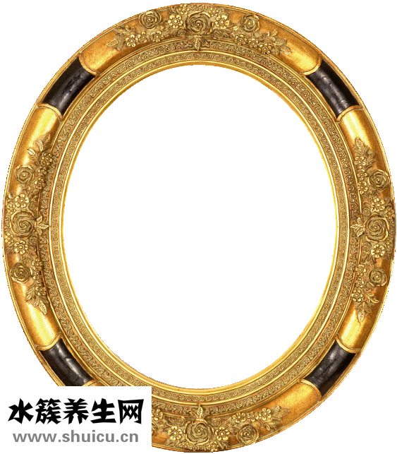 五苓散的功效与作用