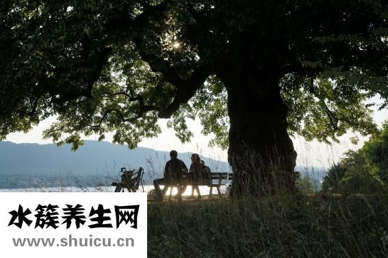 孕妇吃山药