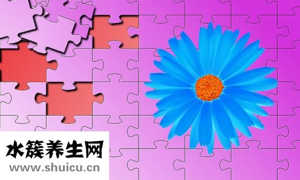 家用紫外线消毒灯