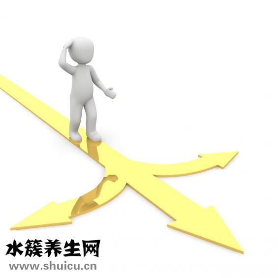 同源染色体是什么