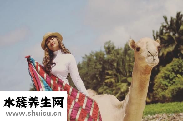 天天瑜伽网