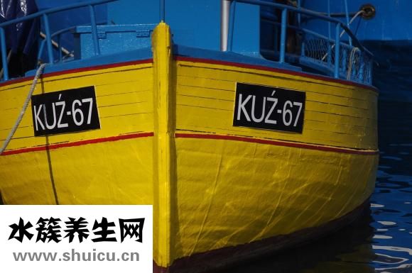 男性的性染色体是什么？