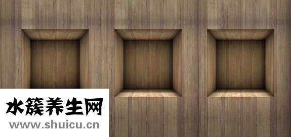 五行与五脏