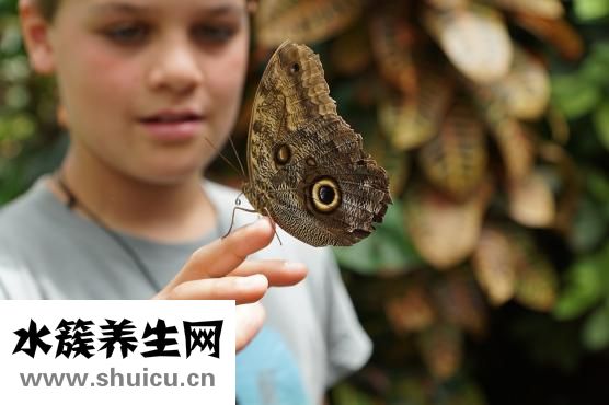 一周食谱家常菜