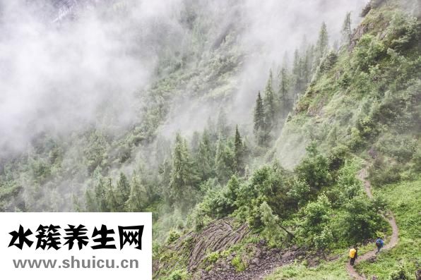 十二经络穴位图